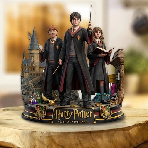 Harry Potter 25th Anniversary 2026 Custom Shape Acrylic Plaque – TMTHU5098