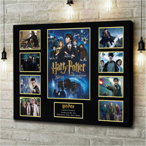 Harry Potter 25th Anniversary Rectangle Canvas With Inner Frame – HOATT15398
