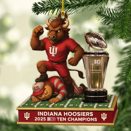Indiana Hoosiers Football 2025 Big Ten Champions Custom Shape 2-sided Acrylic Ornament โ MAITM14008
