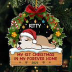 First Paws Under The Tree Dog & Cat - Personalized Custom Shaped Acrylic Ornament - Christmas Gift For Dog Lovers, Cat Lovers