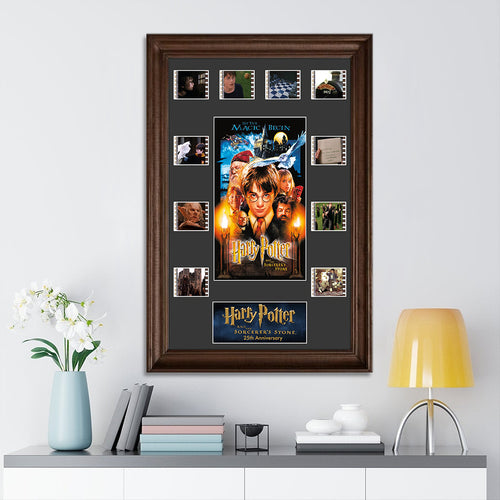 Harry Potter 25th Anniversary Rectangle Canvas With Inner Frame – TMTHU5145