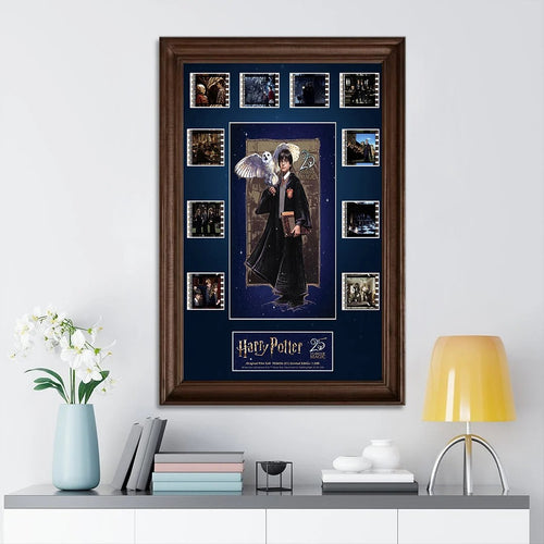 Harry Potter 25th Anniversary Rectangle Canvas With Inner Frame – TMTHU8633