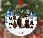 Personalized Dog Ornament with Name Christmas Gift for Pet Lover