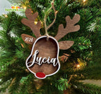 Personalized Rudolph The Red Nosed Reindeer Family Christmas Ornament