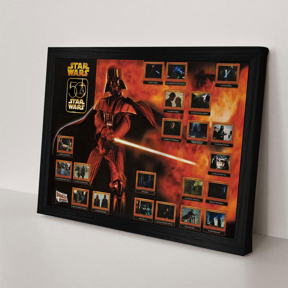 Star Wars 50th Anniversary Rectangle Canvas With Inner Frame – TMTHU3972