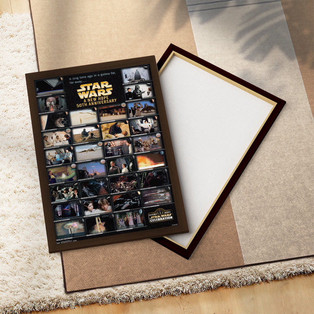 Star Wars 50th Anniversary Rectangle Canvas With Inner Frame – TMTHU7710