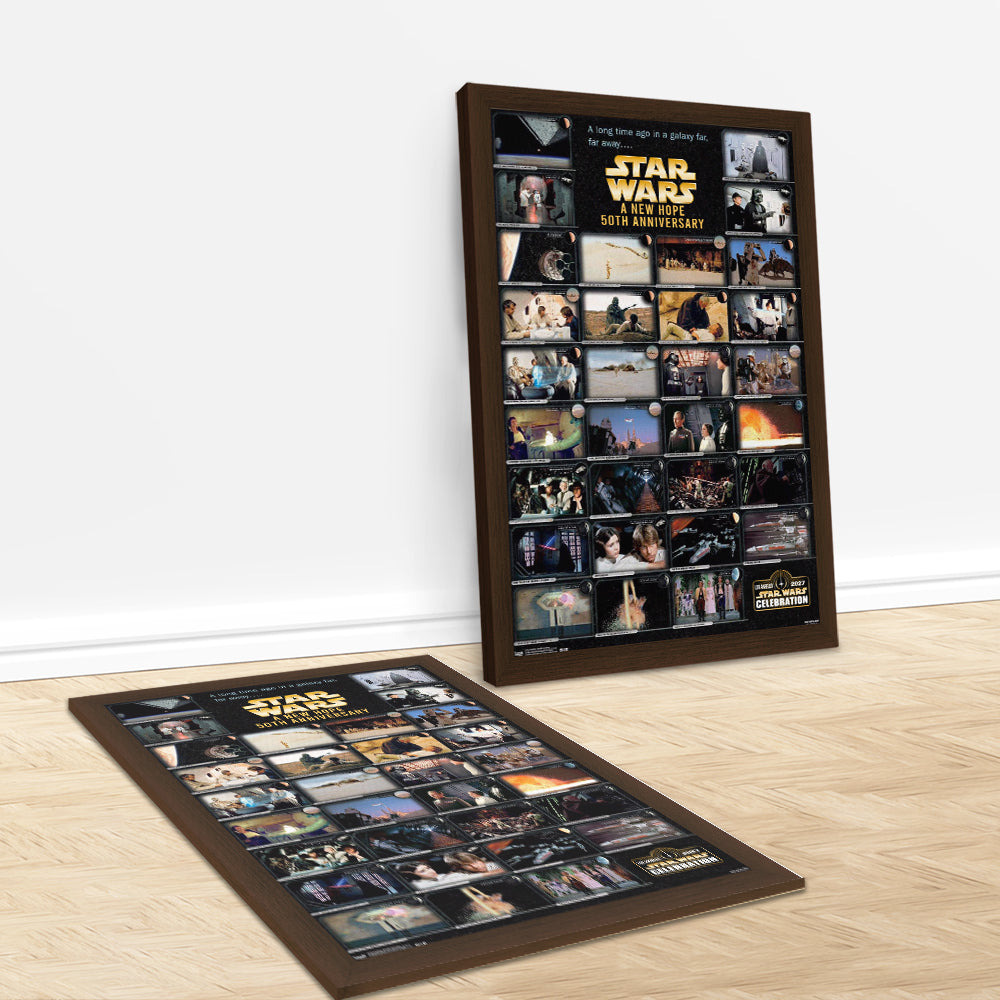 Star Wars 50th Anniversary Rectangle Canvas With Inner Frame – TMTHU7710