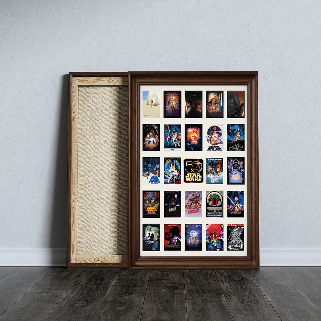 Star Wars 50th Anniversary Rectangle Canvas With Inner Frame – TMTHU4301