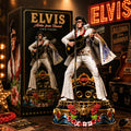 Elvis Presley 3D Collectible Vinyl Figure – TANTN24337