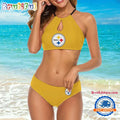 NFL Pittsburgh Steelers Summer Beach Women’s One-piece Bikini Swimsuit